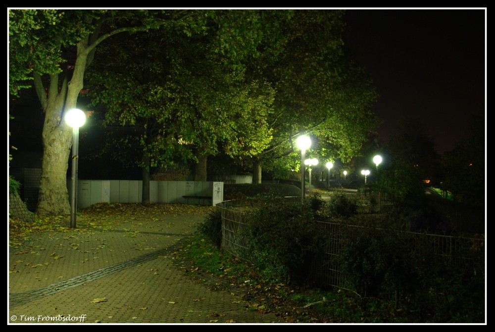 Neckarpromenade am Abend