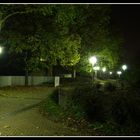 Neckarpromenade am Abend