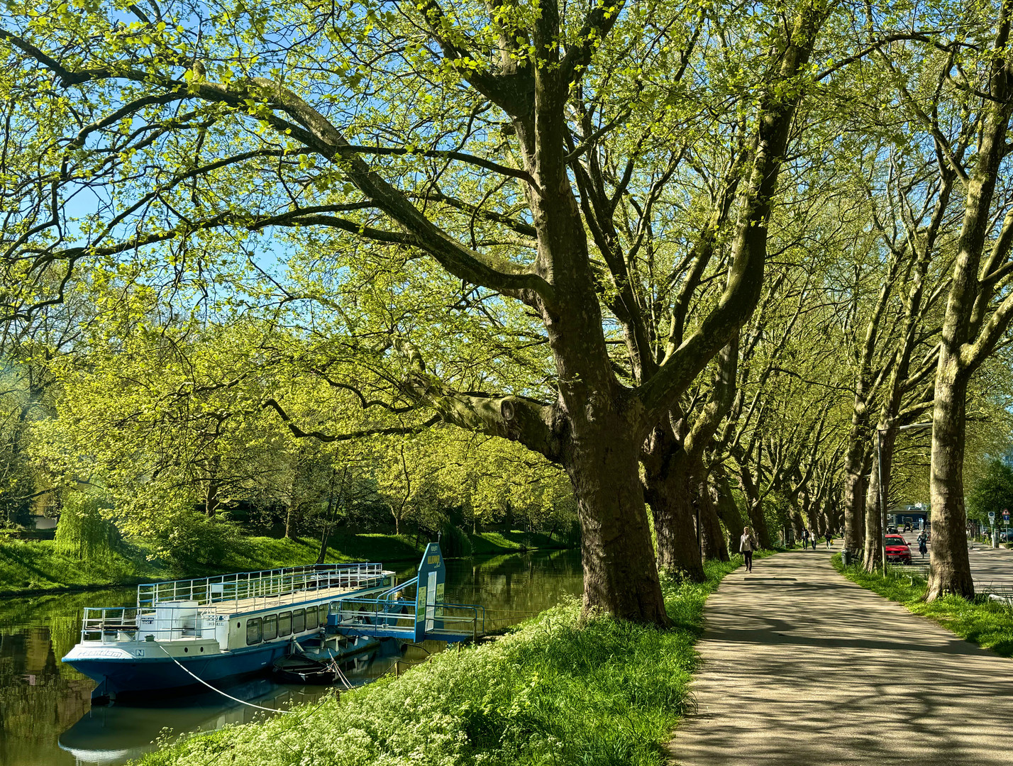 Neckarpromenade im Frühling