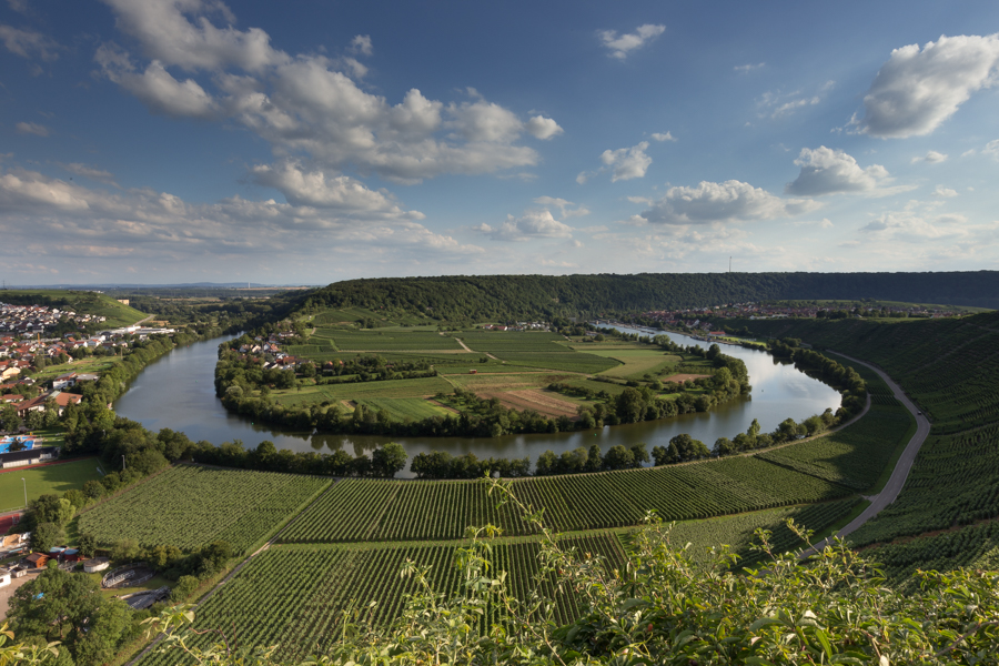 Neckarschlaufe bei Mundelsheim