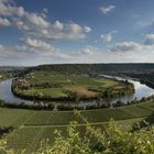 Neckarschlaufe bei Mundelsheim