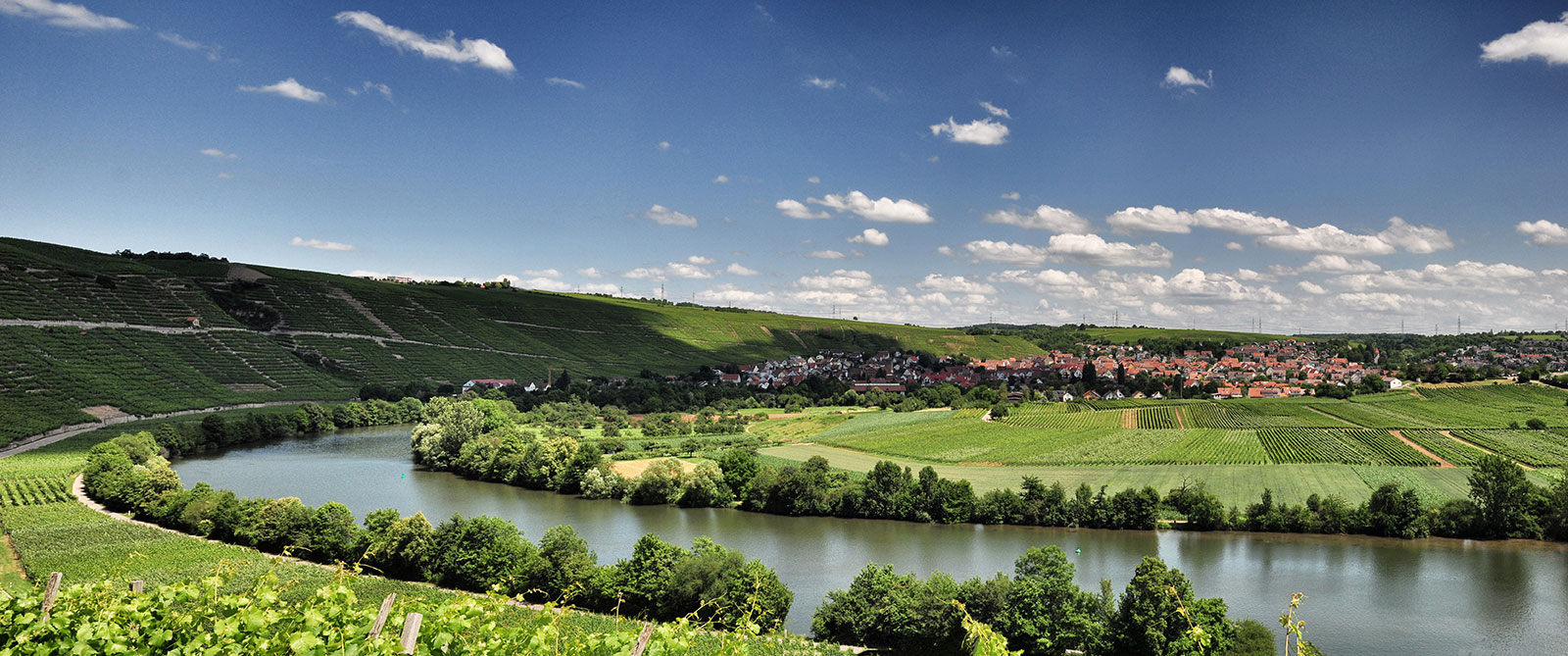 Neckarschleife bei Hessigheim