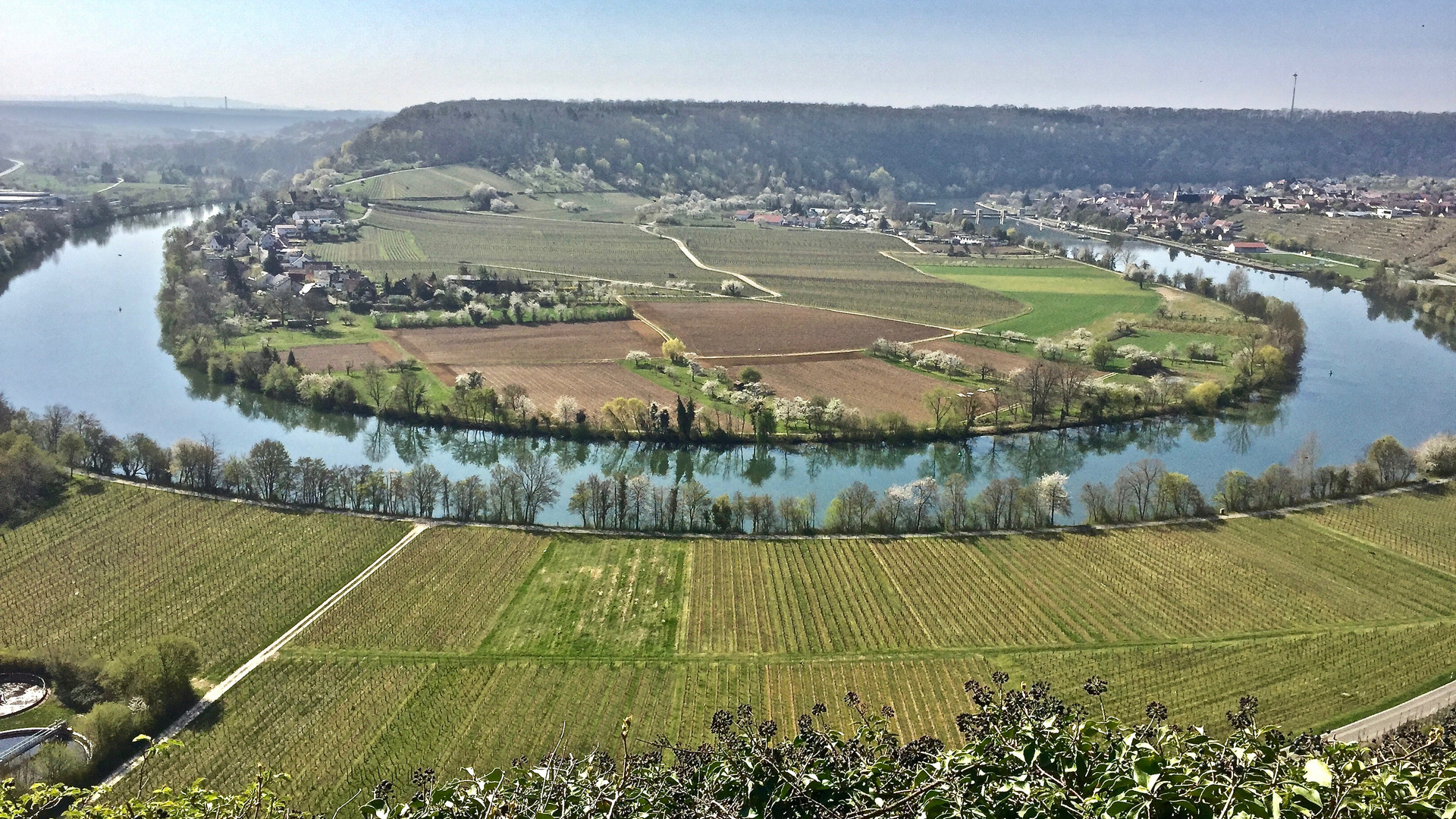 Neckarschleife bei Mundelsheim.