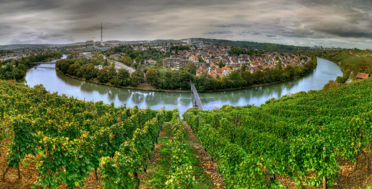 Neckarschleife bei Stgt.-Münster