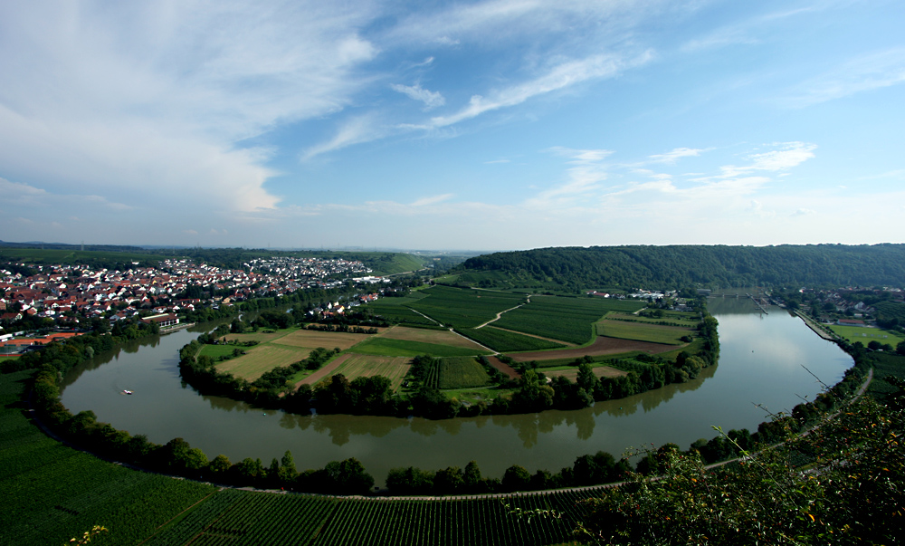 Neckarschleife @Hessigheim