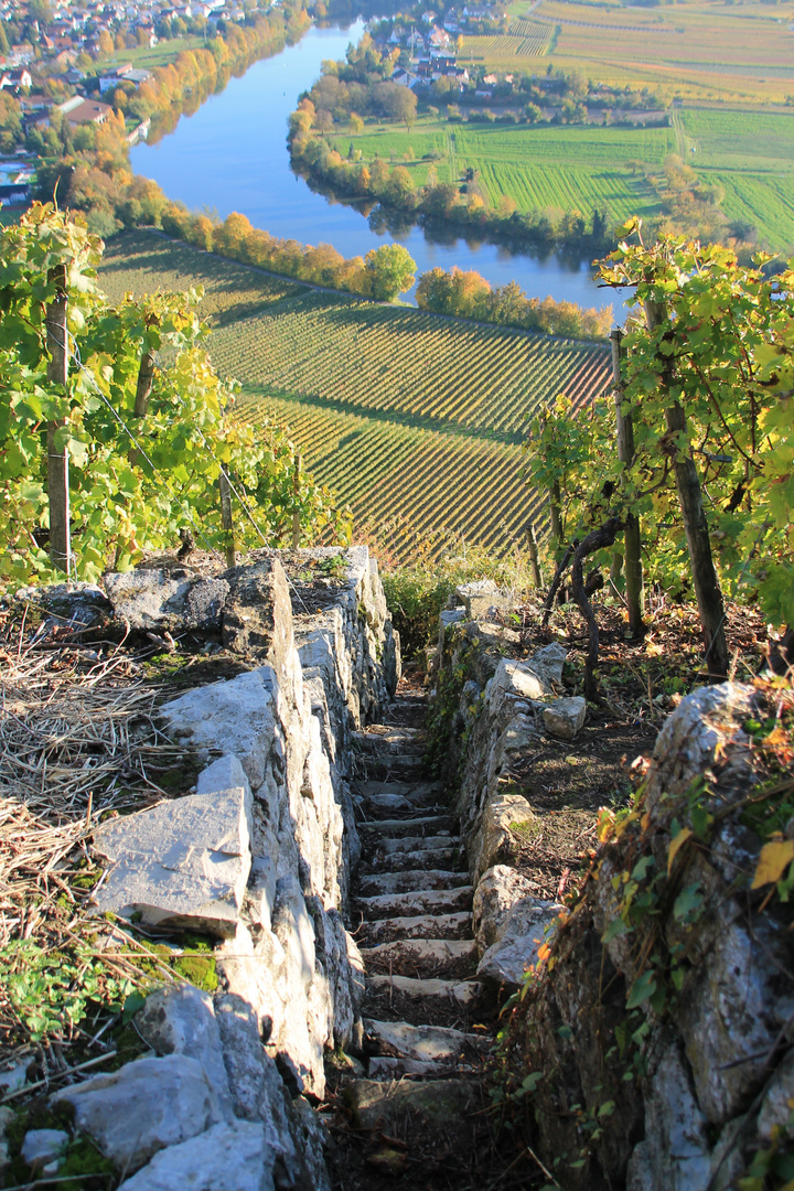 Neckarschleife im Herbst