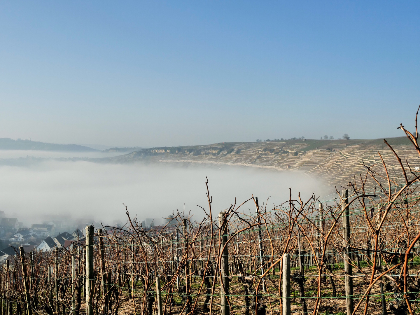 Neckarschleife im Nebel