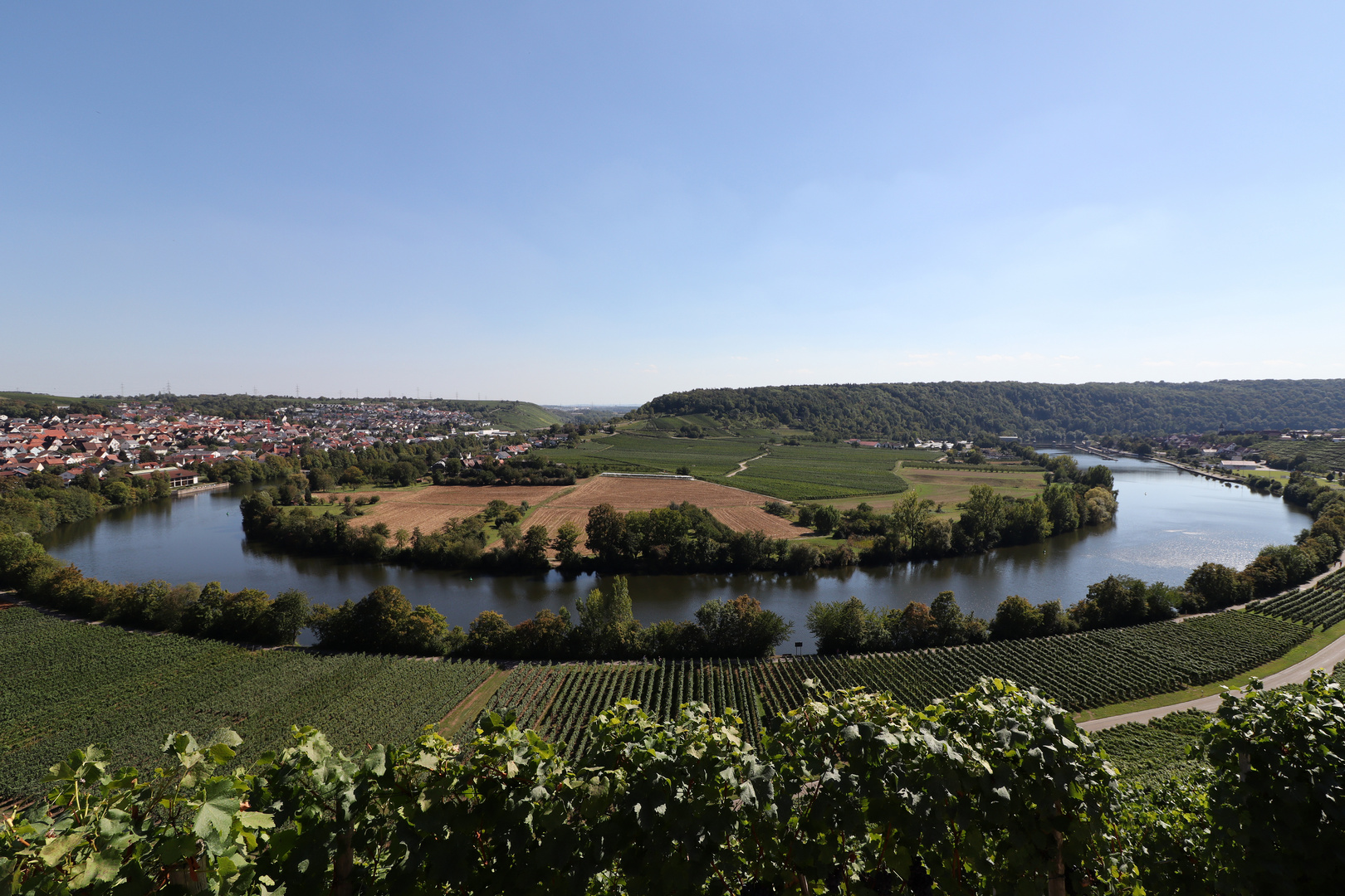 Neckarschleife Mundelsheim