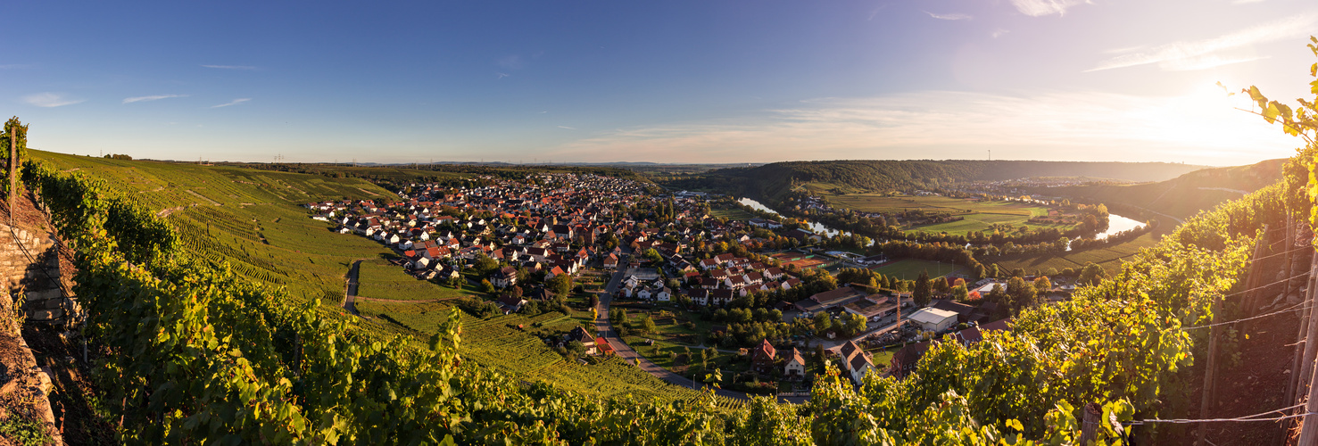 Neckarschleife Mundelsheim