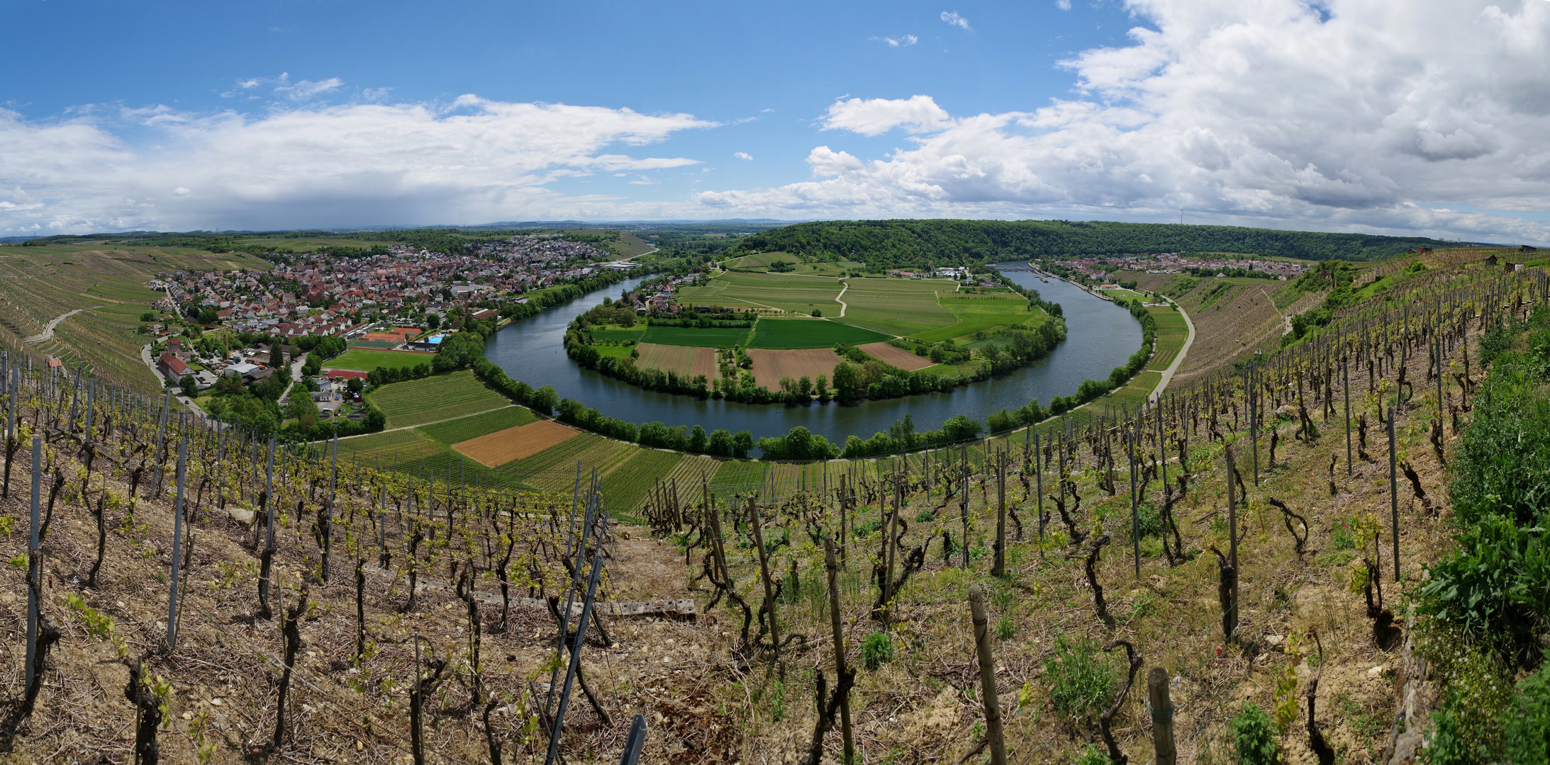 Neckarschleife Mundelsheim