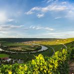 Neckarschleifen-Pano