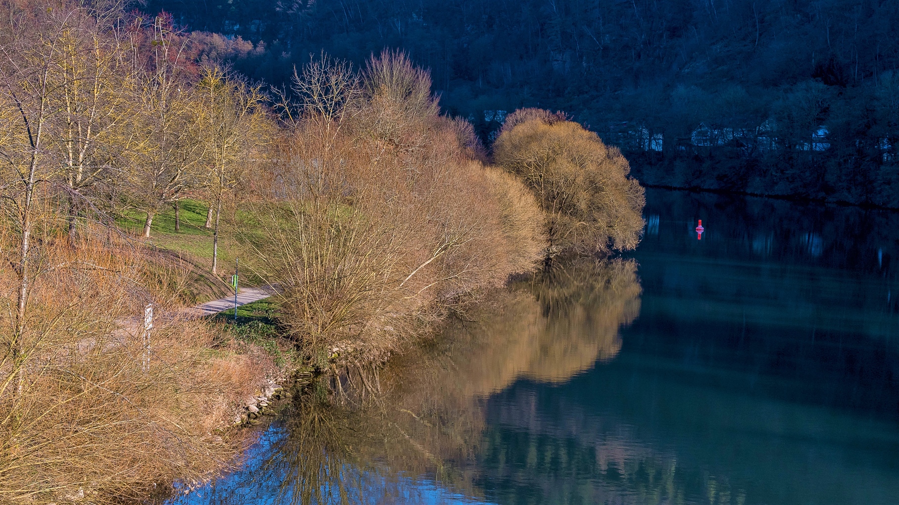 Neckarspiegelung