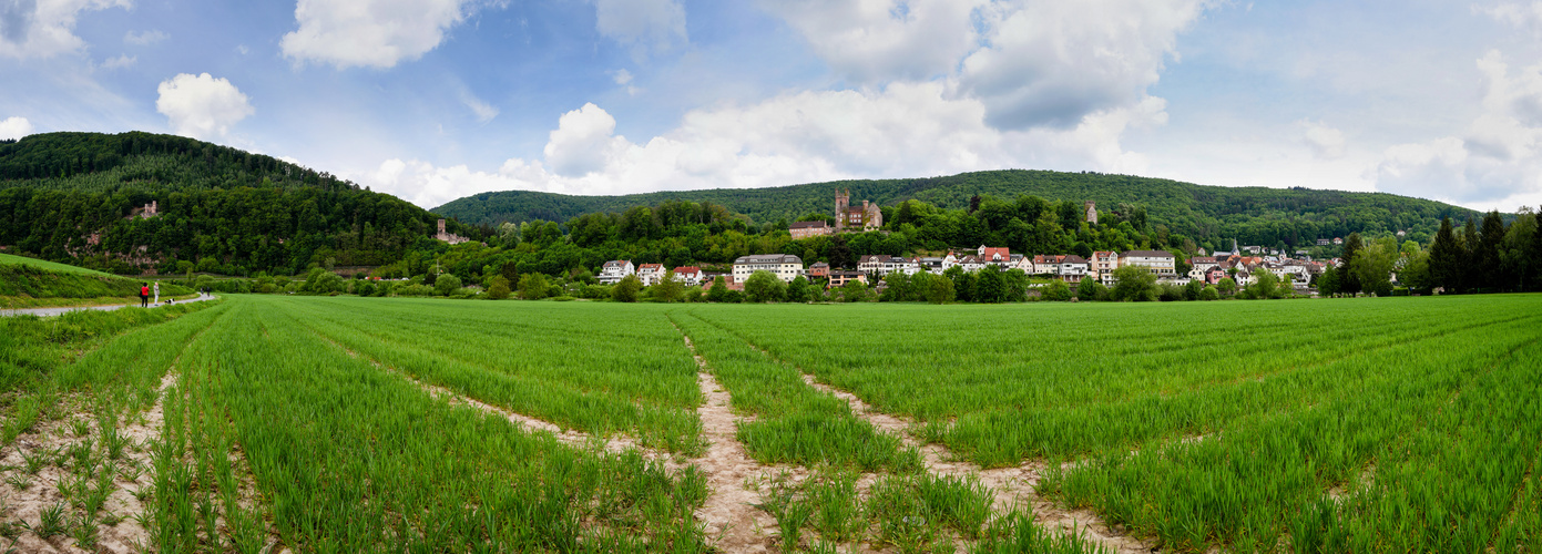 Neckarsteinach