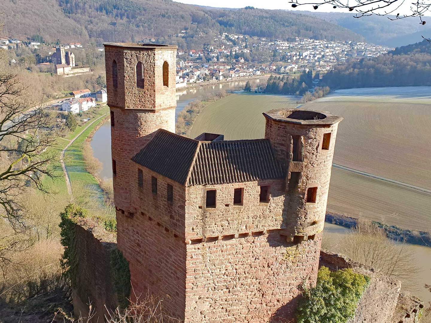 Neckarsteinach II