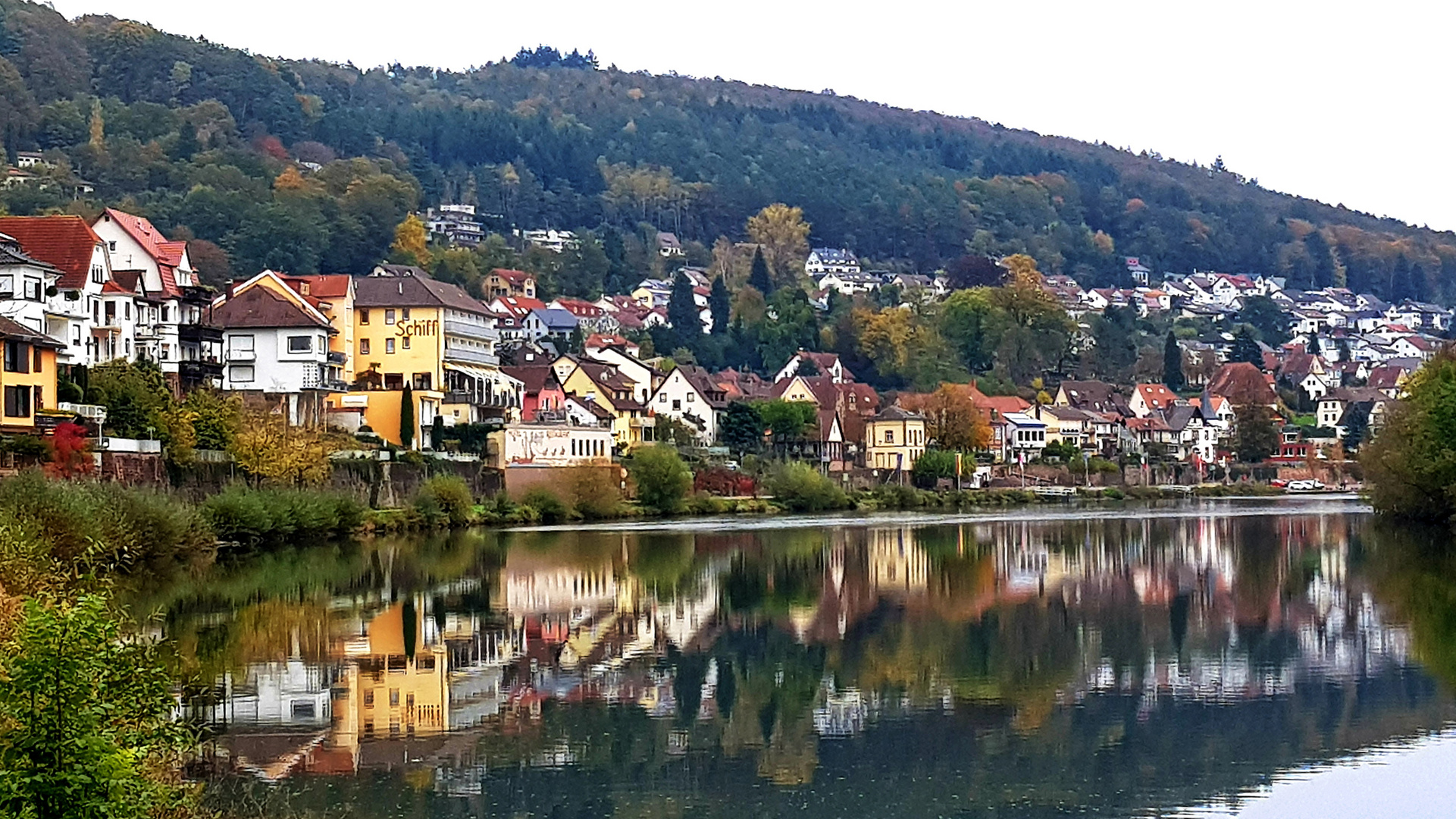 Neckarsteinach im Herbst -Spiegelungen im Neckar - Blick über den Neckar auf den Ort