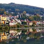 Neckarsteinach im Herbst -Spiegelungen im Neckar - Blick über den Neckar auf den Ort