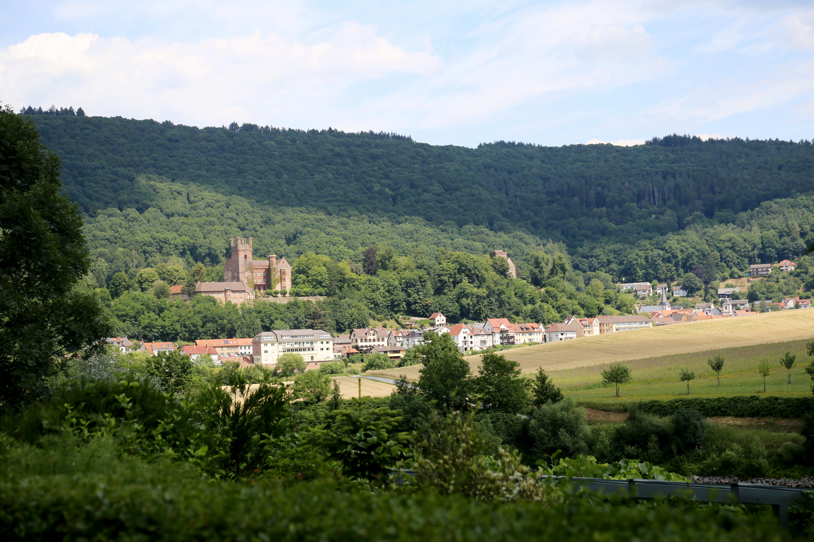  Neckarsteinach mit Vorder-und Mittelburg