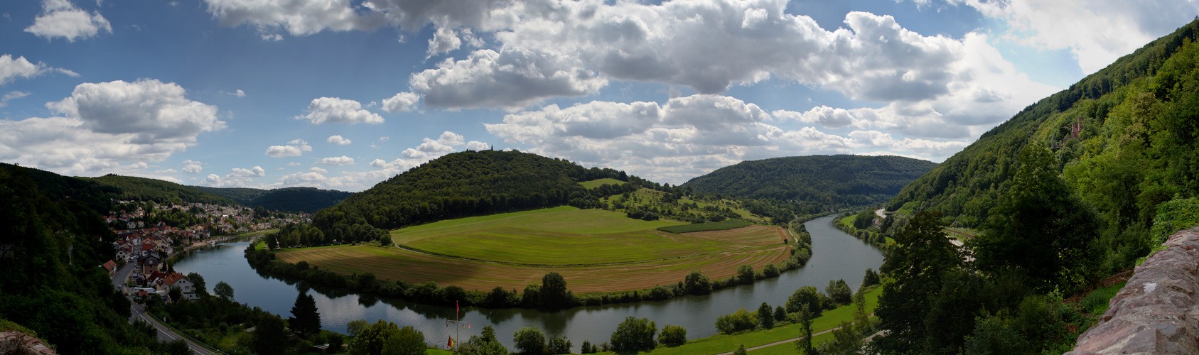 Neckarsteinach Panorama