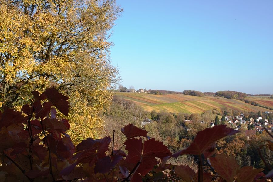 Neckartal im Herbst 2