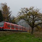 Neckartalherbstblues I