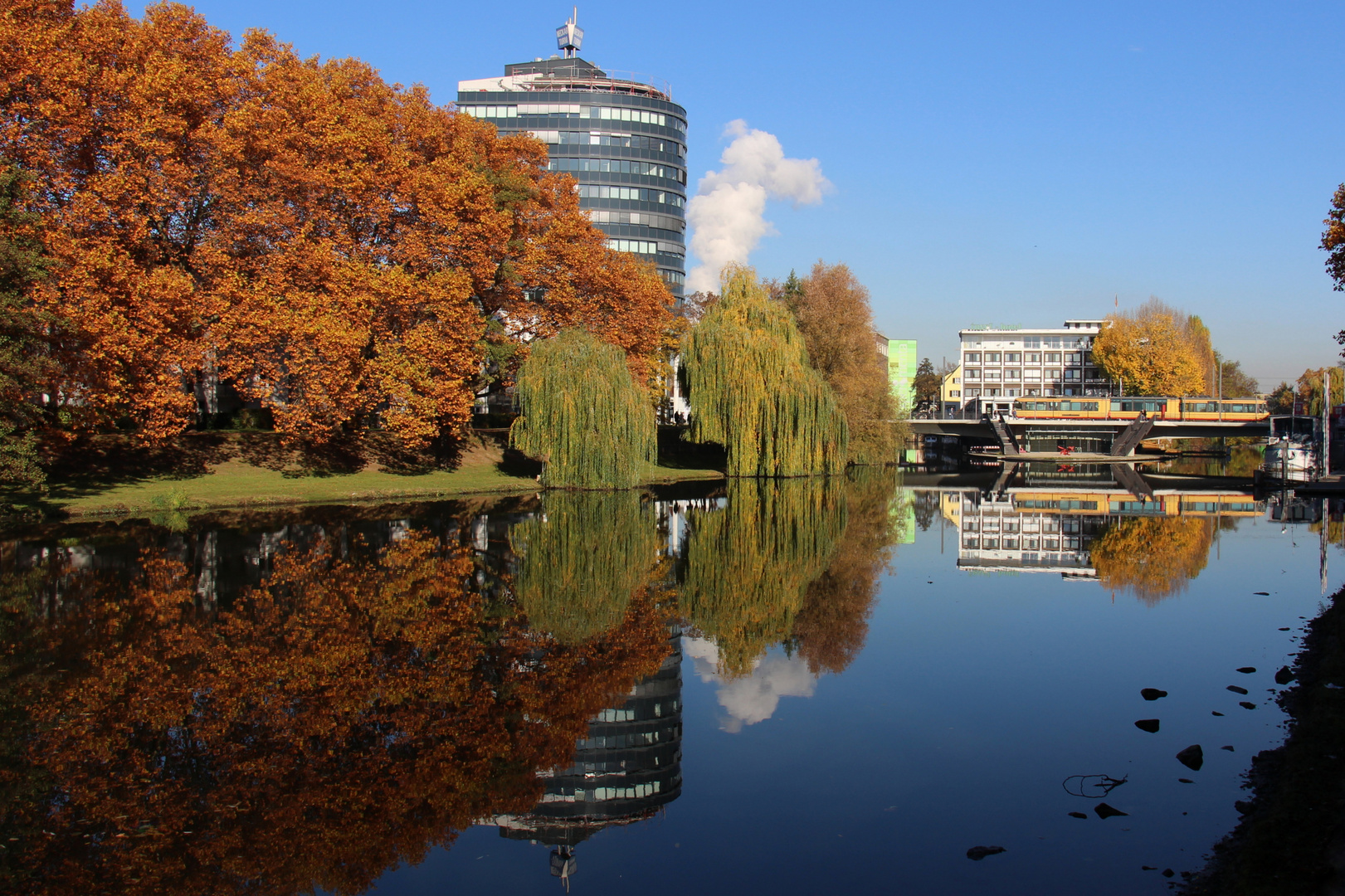 Neckarturm im Herbstkleid (2)