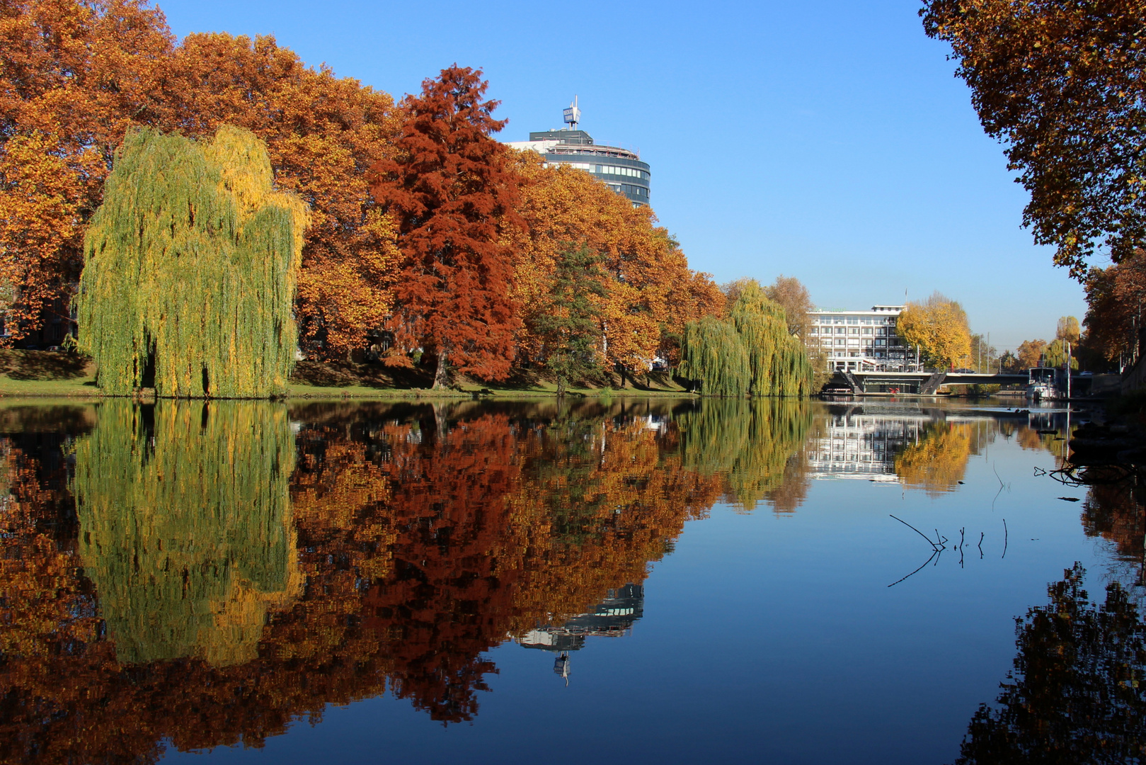 Neckarturm im Herbstkleid