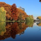 Neckarturm im Herbstkleid