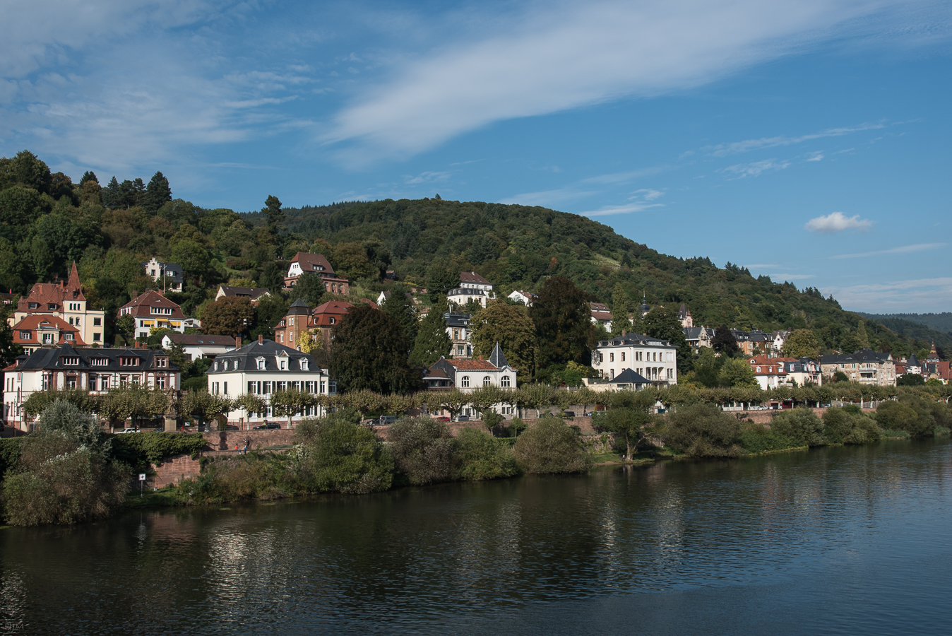 Neckarufer in Heidelberg