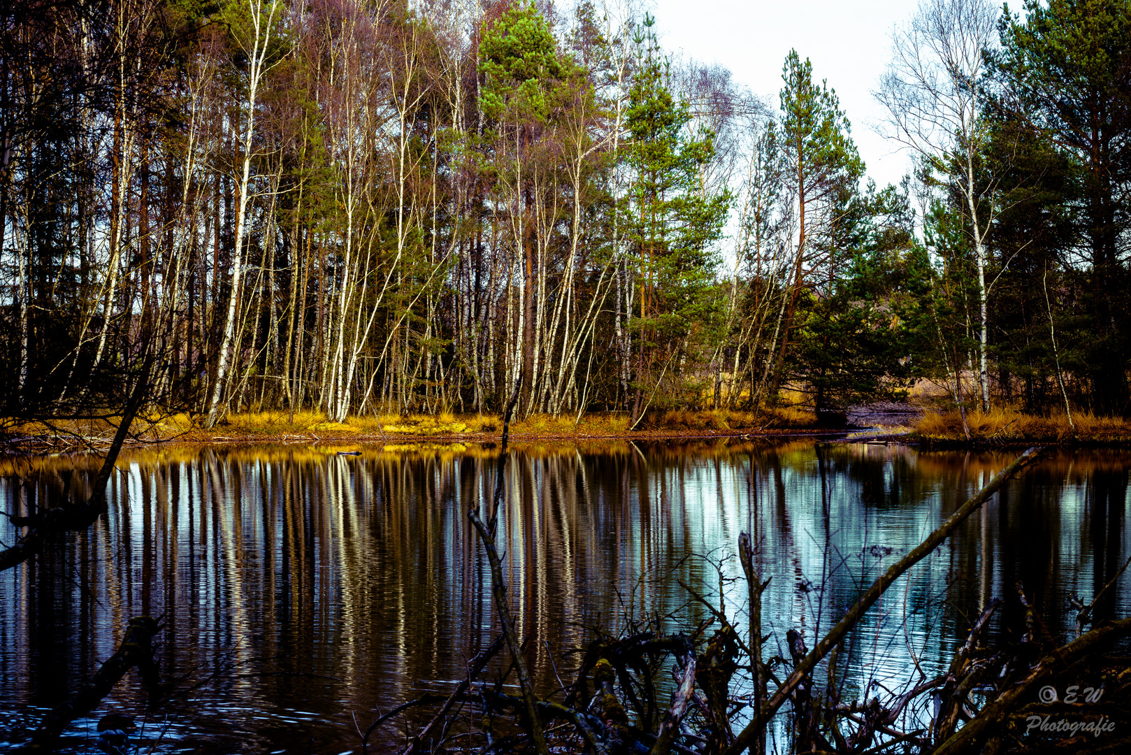 Neckarursprung Foto & Bild | landschaft, moor, see Bilder auf fotocommunity Neckarursprung Foto & Bild | landschaft, moor, see Bilder auf fotocommunity