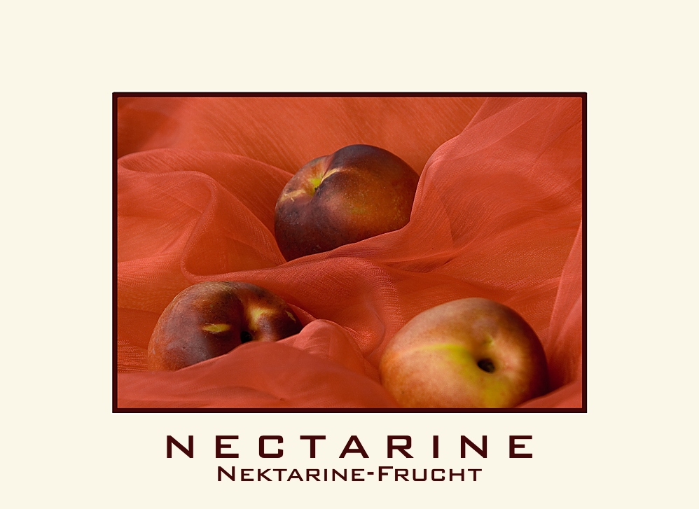 Nectarine - Nektarine-Frucht