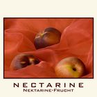 Nectarine - Nektarine-Frucht
