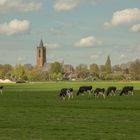 Nederl. Hervormde Kerk vanuit de polder