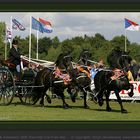 Nederlands Kampioen 2005 Klavertje Drie Fries Ras