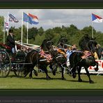 Nederlands Kampioen 2005 Klavertje Drie Fries Ras