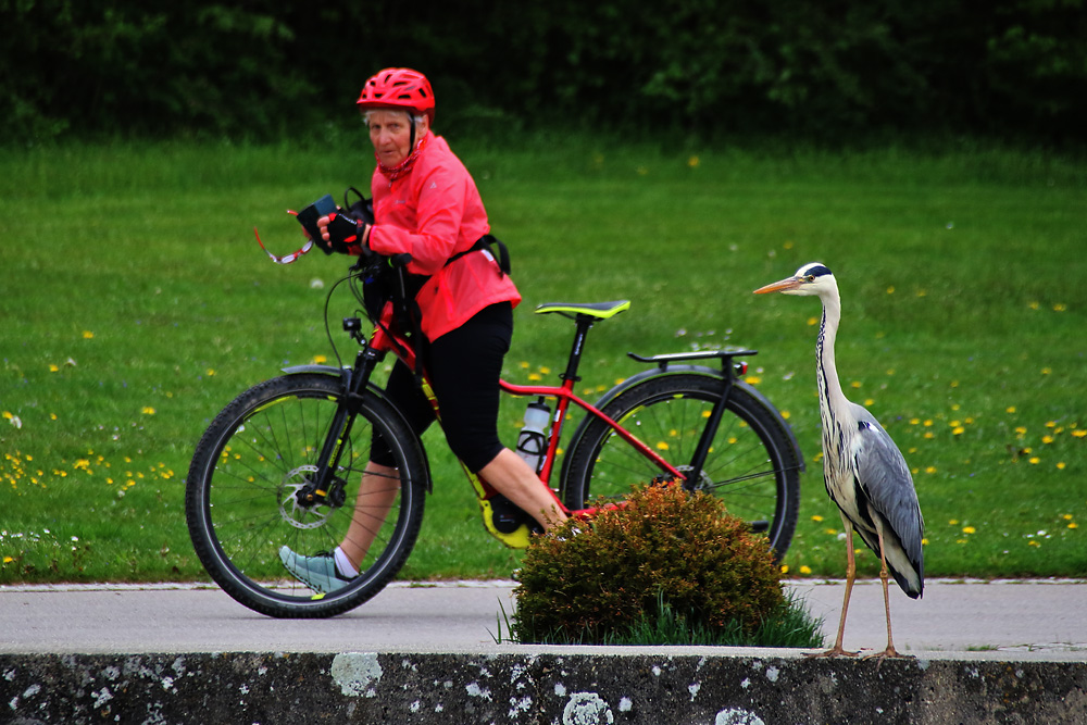 nee, Fahrrad fahren will er nicht......