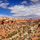 ~ Needels District - Canyonlands National Park ~