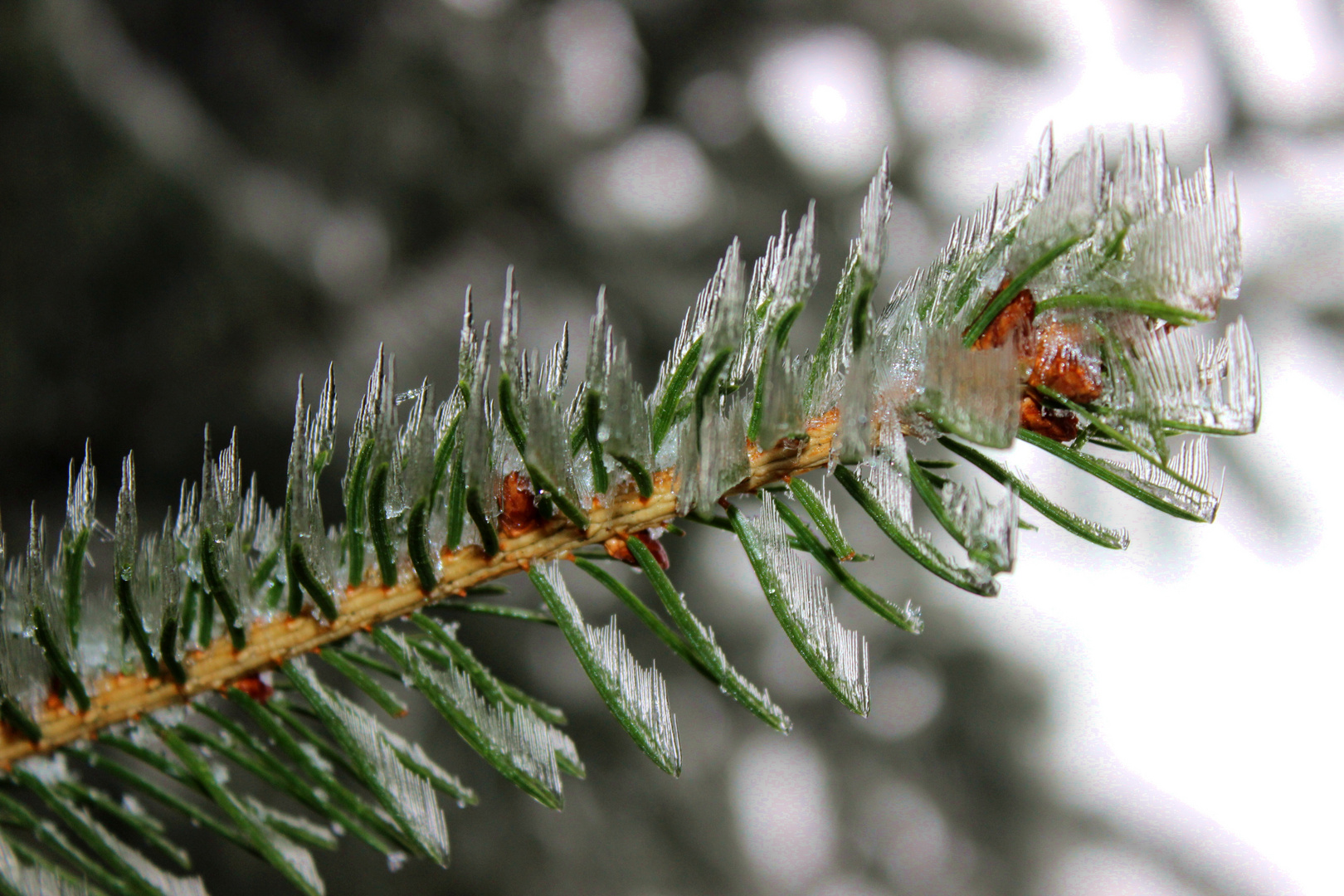 Needles and Pins