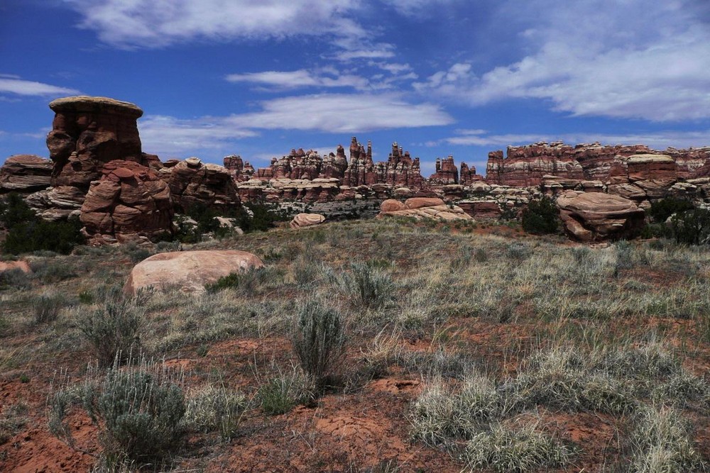 Needles District Canyonlands N.P.