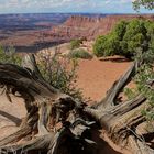 Needles Overlook