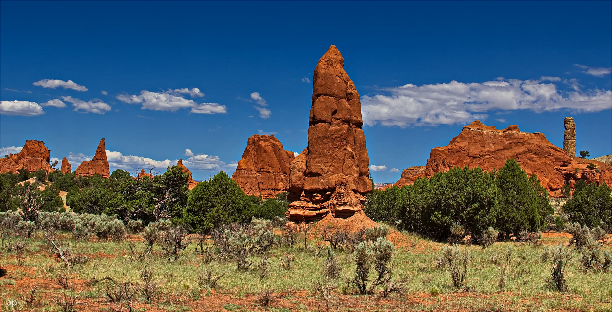 needles under a blue sky