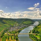 Neef Mosel