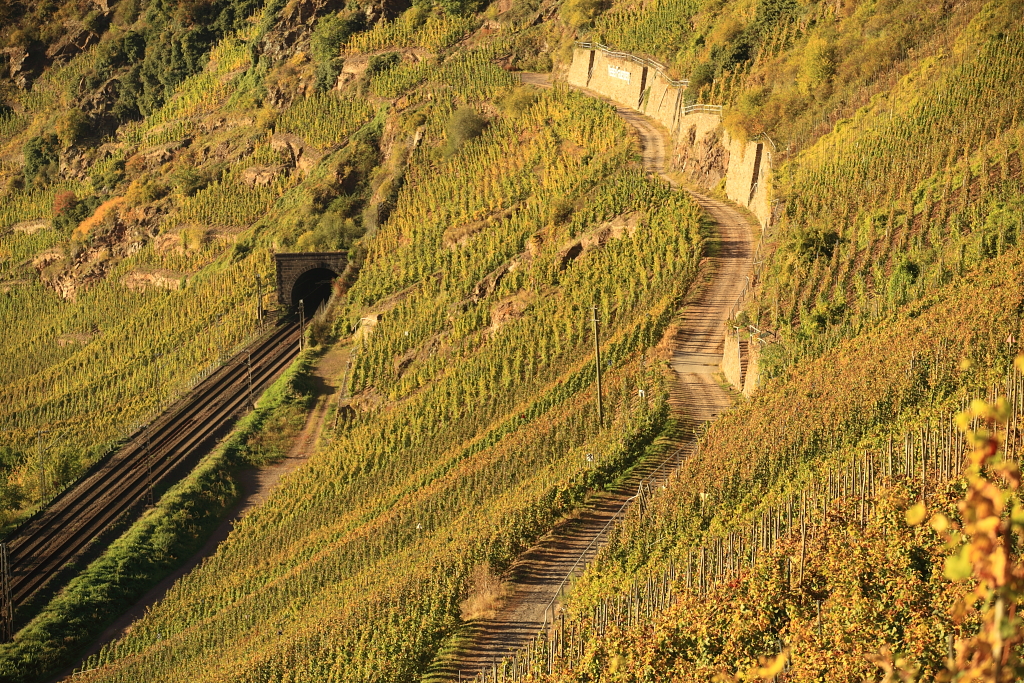 Neefer Frauenberg