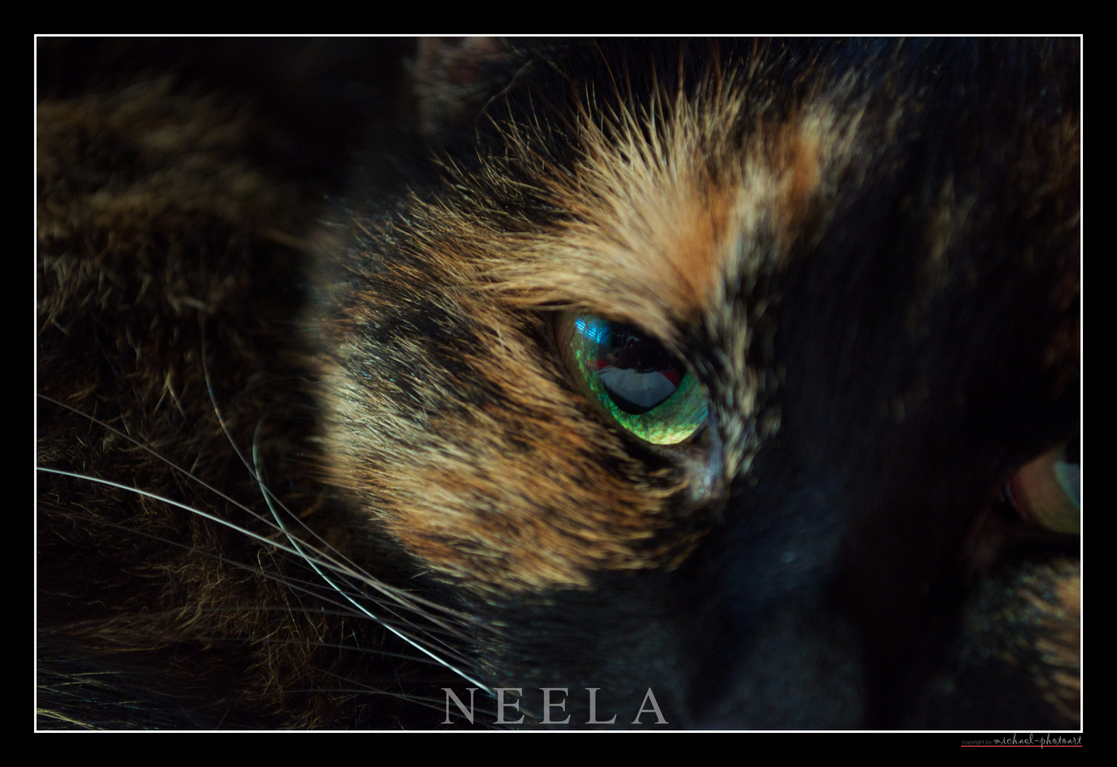 Neela