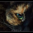 Neela