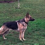 Nefer...ni te muevas.