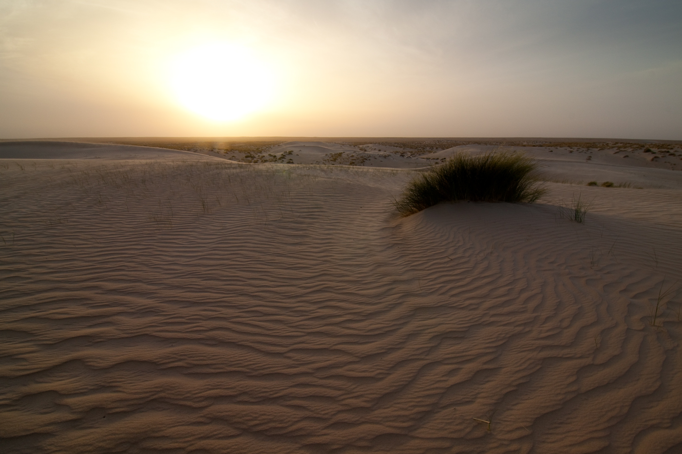 Nefta Dünen Foto & Bild africa, north africa, tunisia Bilder auf