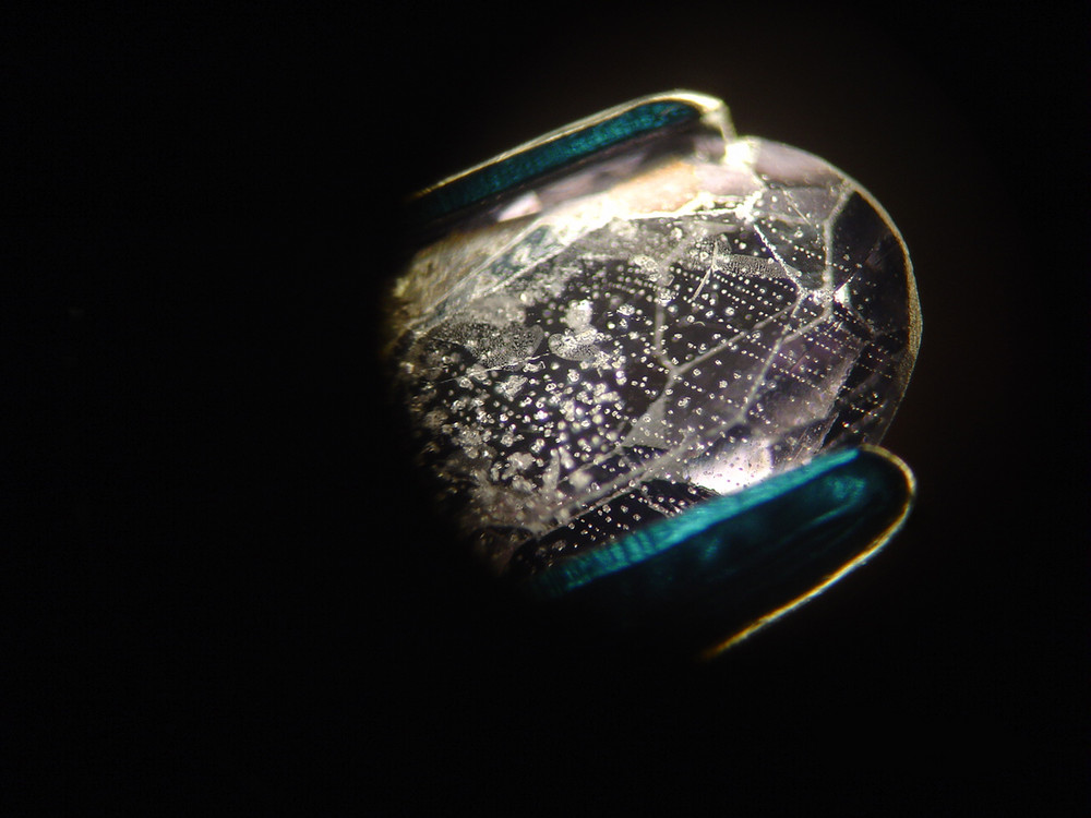 Negative crystals in Spinel