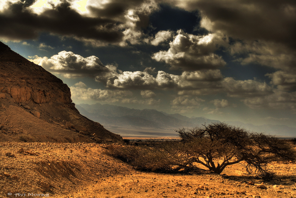 Negev Desert