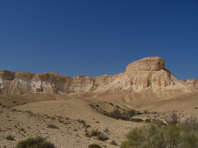 negev desert sandhill