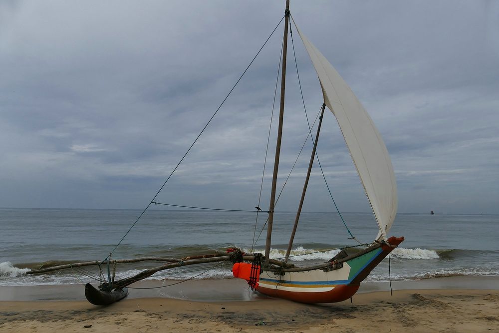 ...Negombo Beach...